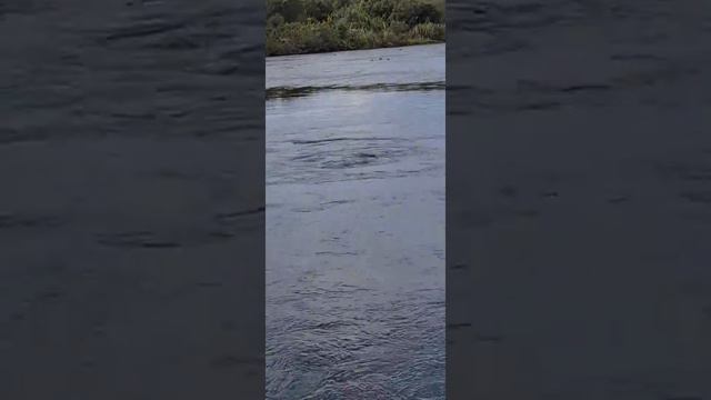 world's clearest fresh water.Nz смотреть онлайн