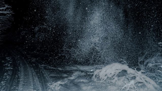 Алексей Мандельштам -  Зимняя дорога