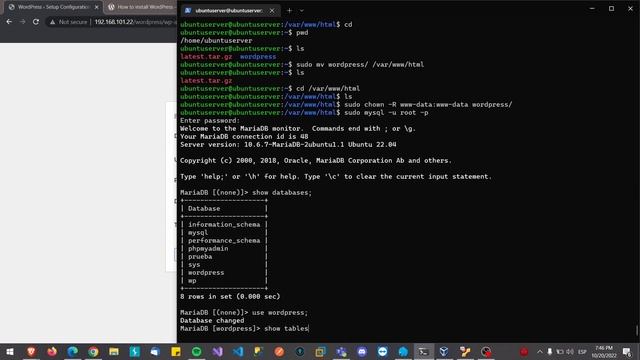 Instalar Wordpress en un servidor Ubuntu 22.04 смотреть онлайн