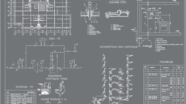 Реферат на тему грибы смотреть онлайн