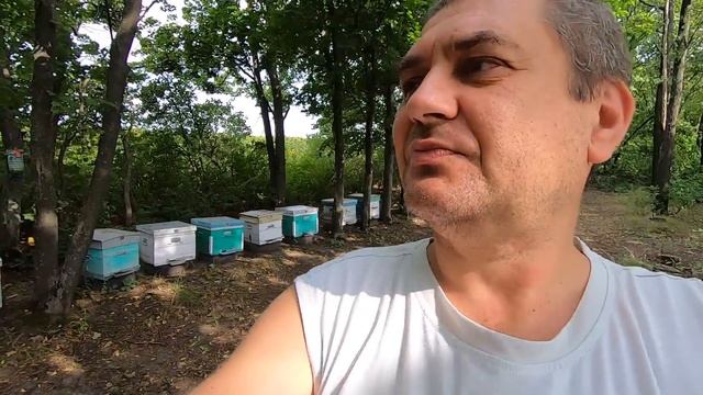 Пасека на связи #7 Усиление отводков при качке меда! Обязательные работы на пасеке в августе! смотреть онлайн