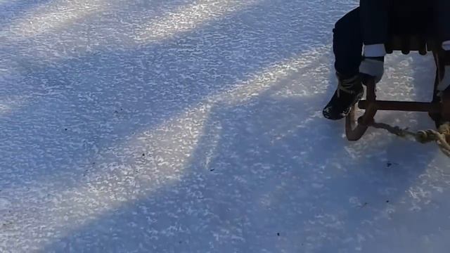 Sledging on ice. Odessa Victory park/Санки на льду.Одесса 13.01.2013 смотреть онлайн