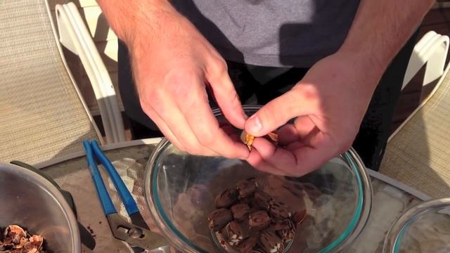 THE EASIEST WAY TO SHELL AND CRACK PECANS UNDER 30 SECONDS!!! смотреть онлайн