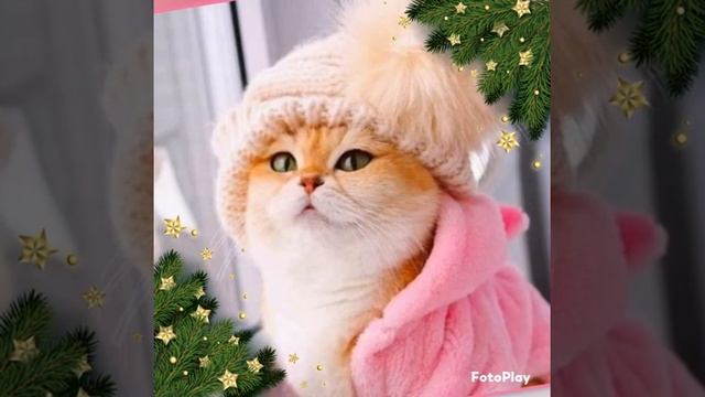 Друзья! Желаю приятного просмотра! Хорошего настроения! смотреть онлайн