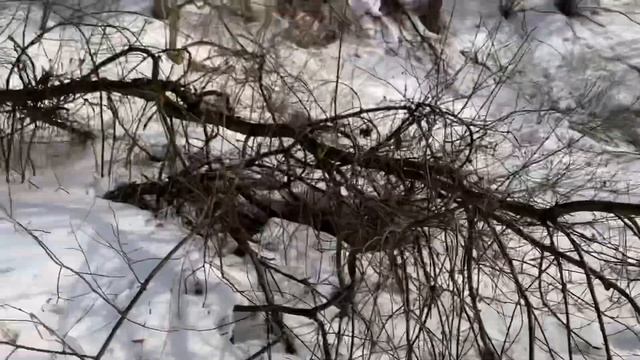 Мотобуксировщик смотреть онлайн