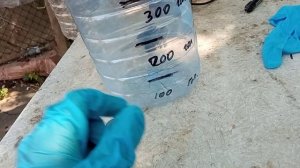 Очередная плановая вакцинация голубей от вертячки, пропаивание  ЛаСотой..Олег Костяков