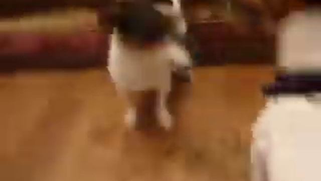 Антон и Жади... смотреть онлайн