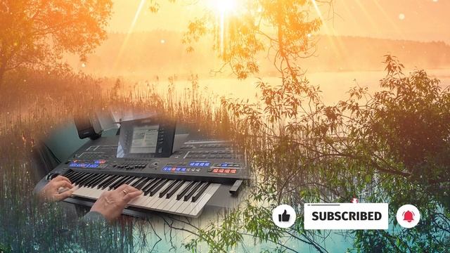 'The Banks of the Ohio - Olivia Newton John' - Hans van Dijken on the Yamaha Tyros 4 keyboard смотреть онлайн