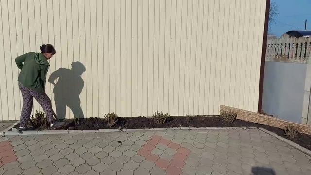 И снова стройка\\Испортила свою репутацию......От таких комментарий руки опускаются смотреть онлайн