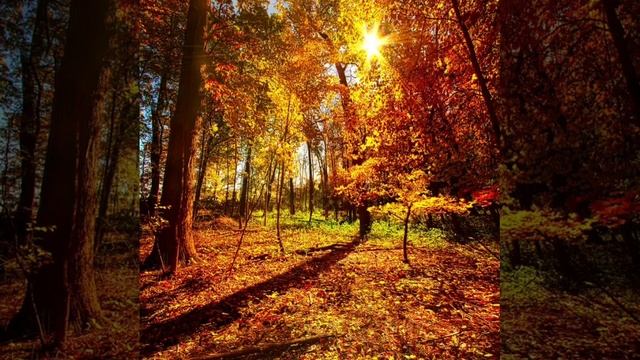 Листопад осенний праздник. смотреть онлайн