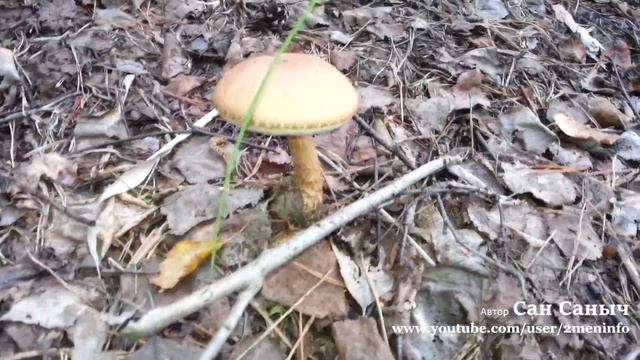 Тараскуль, рыбалка без рыбы смотреть онлайн