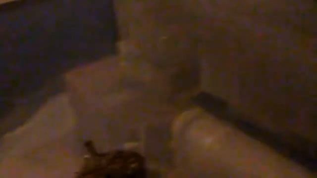 Magic Mushroom Grow B+ смотреть онлайн