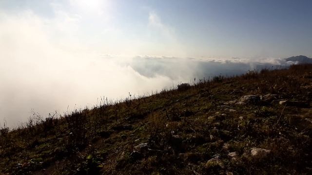Альпийские луга смотреть онлайн