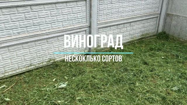 S2600559 ПАРУСЛЕНД - недорогой участок у моря смотреть онлайн