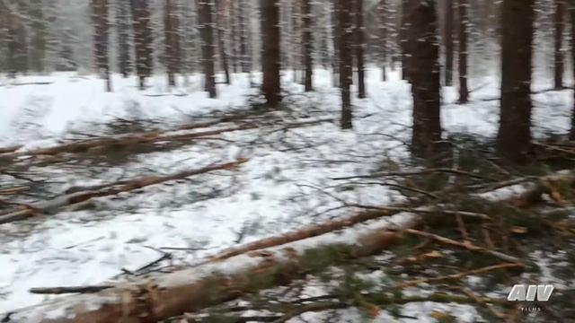Мы с Андрюхой в дрова смотреть онлайн