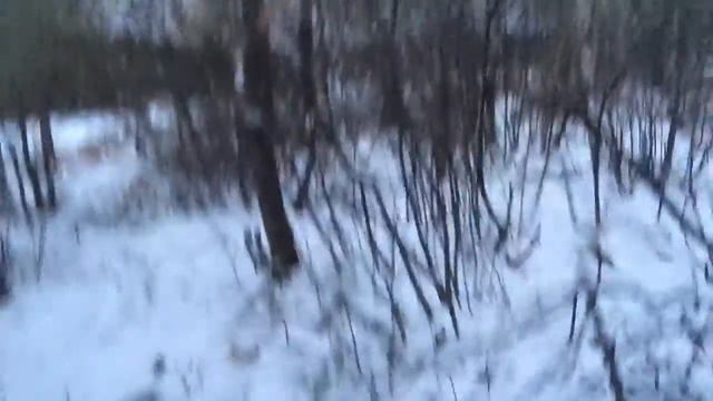 Лёд замёрз смотреть онлайн