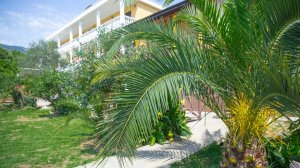 Отдых в отеле Мэри сделает  Вас счастливыми. Один день из жизни туристов в отеле.