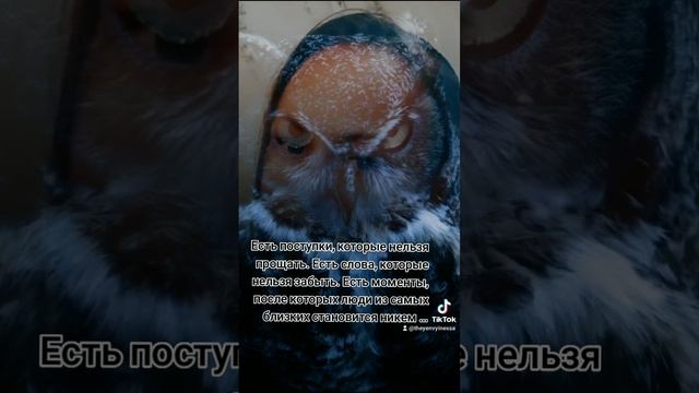 зачем ты мне врёшь... смотреть онлайн