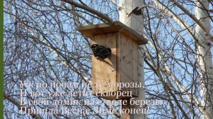 Я СЕГОДНЯ УВИДАЛА ВЕСНУ