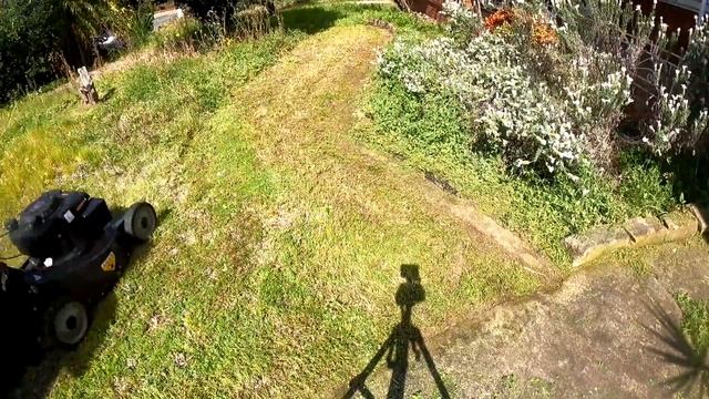 TRESPASS! Court Orders Me To Return Cut Grass To Property! смотреть онлайн