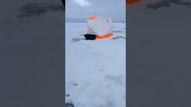 палатки пингвин уелги смотреть онлайн