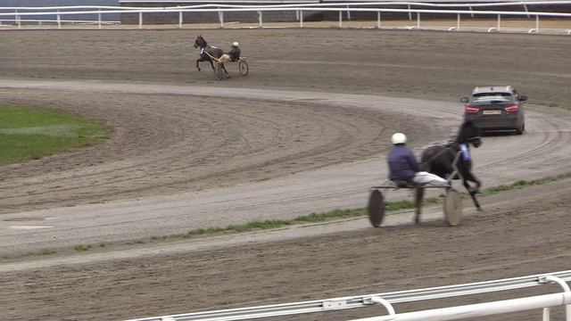 13 Октября 2023 3 Заезд Приз в честь первого барсиста ипподрома «Акбузат» ГАЛОПА смотреть онлайн