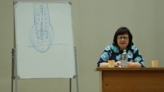 Выставление эталонных состояний чакр и тонких тел. Освобождение от низких вибраций. Токарева Н.П. смотреть онлайн