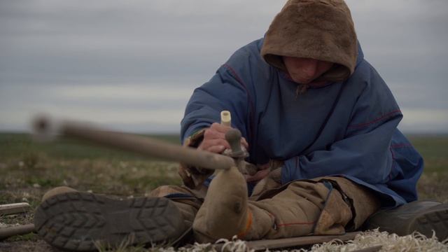 Переход 10 000 оленей через Бованенковское месторождение