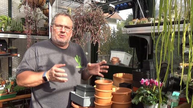 How To Choose The Best Plant Pots For Your Cactus & Succulent Collection #cactuscare #succulentscar