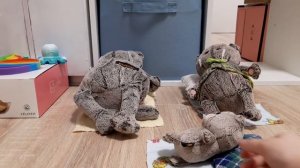 Один день из жизни Басиков! (4часть)