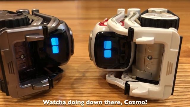 The Karate Cozmo: Episode 1