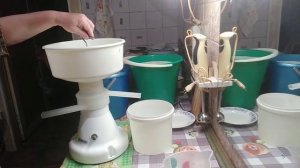 Сепарирую молоко, сколько сливок на выходе...