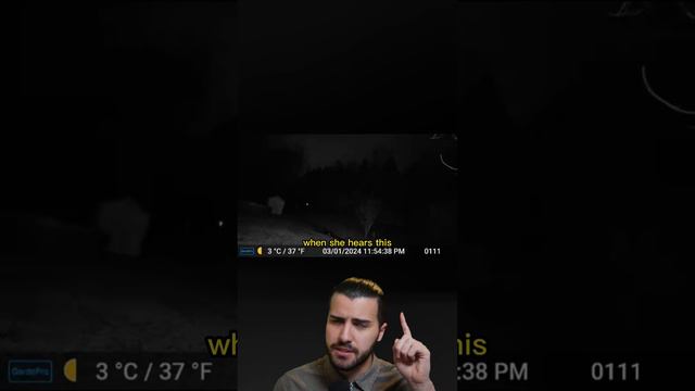 It tried to get in.. Part2 #creepy #stalker смотреть онлайн