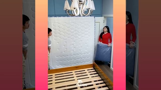 Smart Appliances, Gadgets For Every Home P(146) ?? Tik Tok China ?? Versatile Utensils