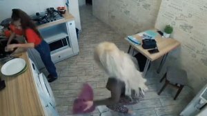 Жестко обращается с девочкой 😬. Юрий Благополучный ОТРЫВОК. Злая МАЧЕХА ИЗДЕВАЕТСЯ НАД СВОЕЙ ДОЧКОЙ