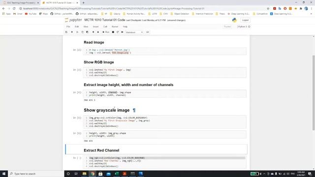 1- Image Read, Show and Convert (RGB to Grayscale) смотреть онлайн