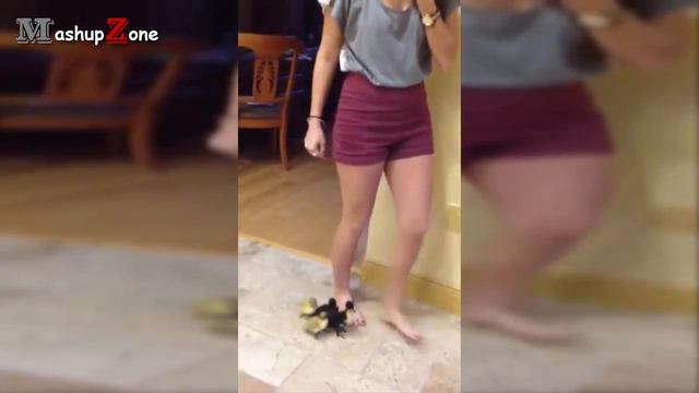 Cute Duckling - A Funny Duck Videos Compilation || NEW HD смотреть онлайн