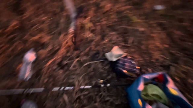 Наловили Густери та Канальних Сомів з Сином. Мій трофейний Канальний Сом Діскавері смотреть онлайн