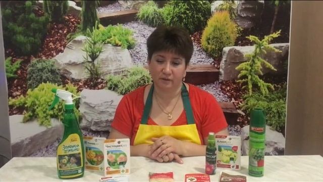 ЗАЩИТИТЕ СВОИ КОМНАТНЫЕ РАСТЕНИЯ с помощью ЭТИХ ПРЕПАРАТОВ! ОБЗОР смотреть онлайн