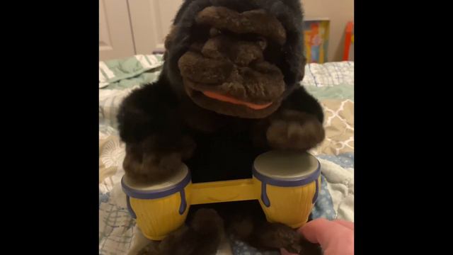 LOW BATTERIES IN BONGO JR. GORILLA COMPILATION (HILARIOUS!)