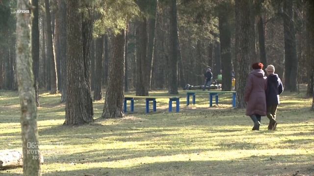 Кузьминский лесопарк наконец получил прописку в Котельниках. смотреть онлайн