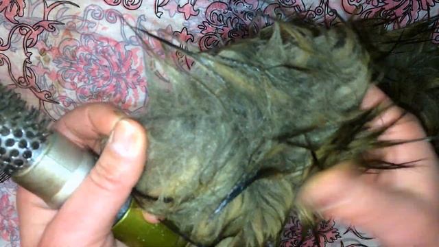 Как постирать шубу из искусственного меха Уход за эко мехом Полезные лайфхаки для дома Стирка меха смотреть онлайн