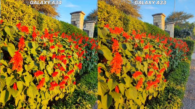 Camera Test| Galaxy A34 vs Galaxy A33 📷 смотреть онлайн