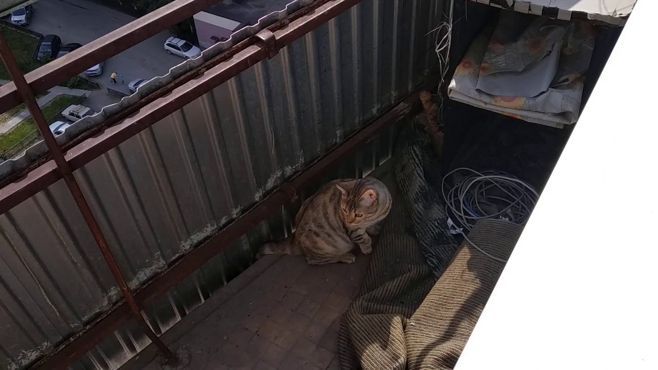 22 января 2020 г. смотреть онлайн