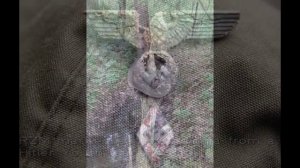 Раскопки ВОВ, Черные копатели