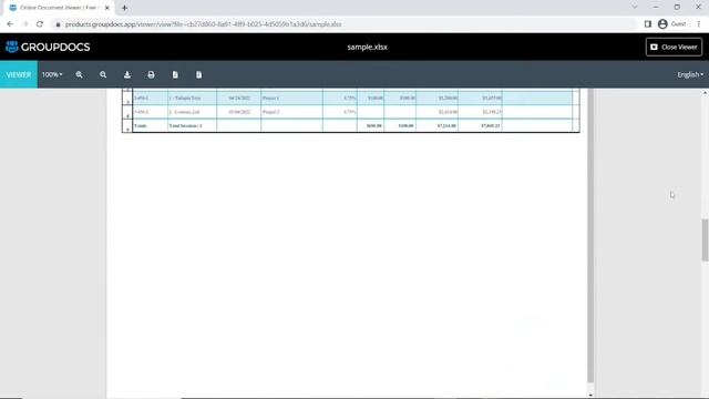How to open and view XLSX files in a browser | GroupDocs.Viewer App Tutorial смотреть онлайн