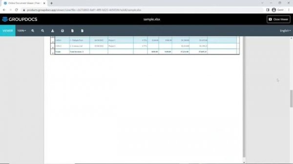 How to open and view XLSX files in a browser | GroupDocs.Viewer App Tutorial