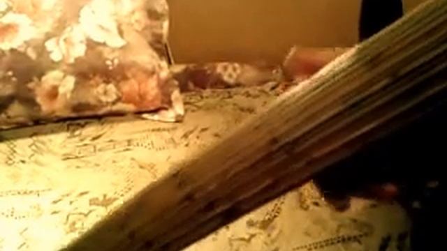 Рэйнстик "Жук Дождя" (флейта дождя, посох дождя, шум дождя, rainstick) смотреть онлайн