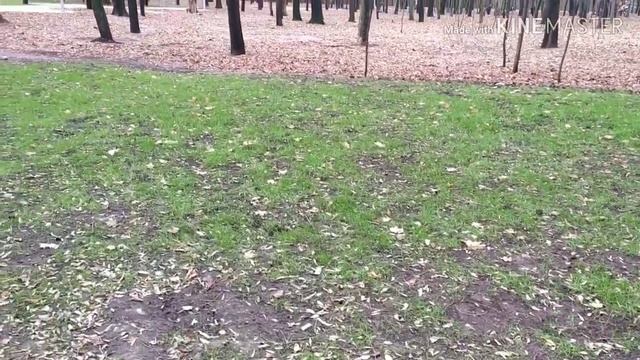 ЗАКАЗ ТРИКОТАЖНЫЙ РАЙ//ЖЕЛТЫЙ ПОЯС АЙКИДО//ПЕРВЫЙ СНЕГ смотреть онлайн