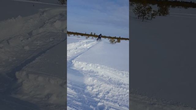 Буран АДЕ и снегоход СКАНДИК смотреть онлайн